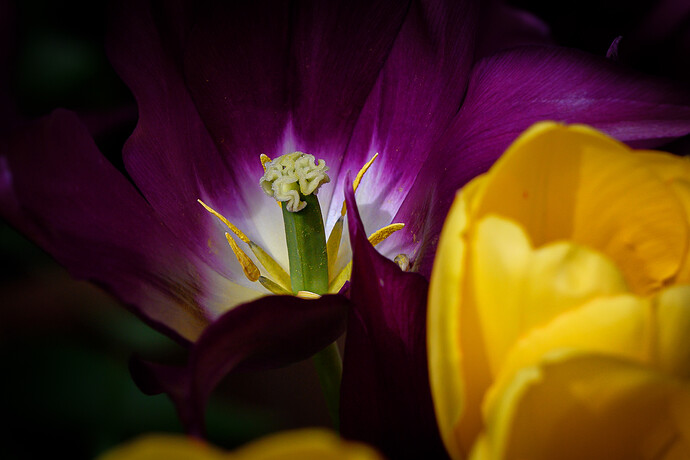 NEW7285-Edit
