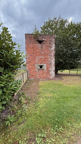 6f2be793-bede-412d-bacb-90eeb90ad093_img_1734