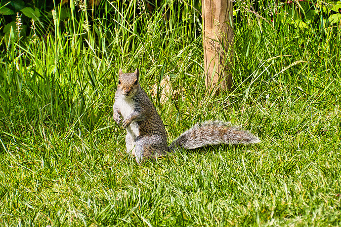 54587725914_3181251be4_o