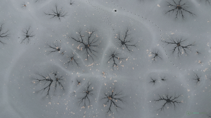 vlcsnap-2022-12-13-12h57m59s583