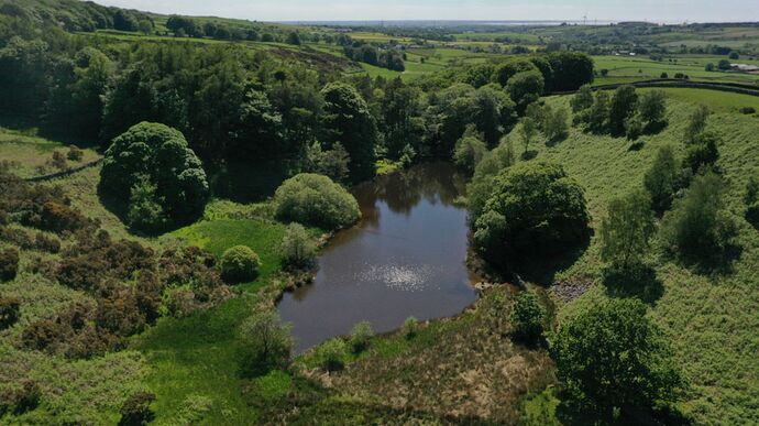 670993ec-bbbc-40df-9688-7d1130e34c65_2021060619