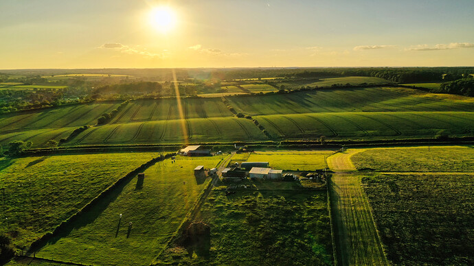 DJI_0325 (1)