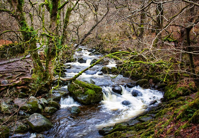 Aira Force2-01