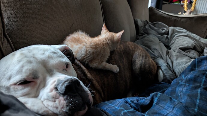 PXL_20250522_200633036