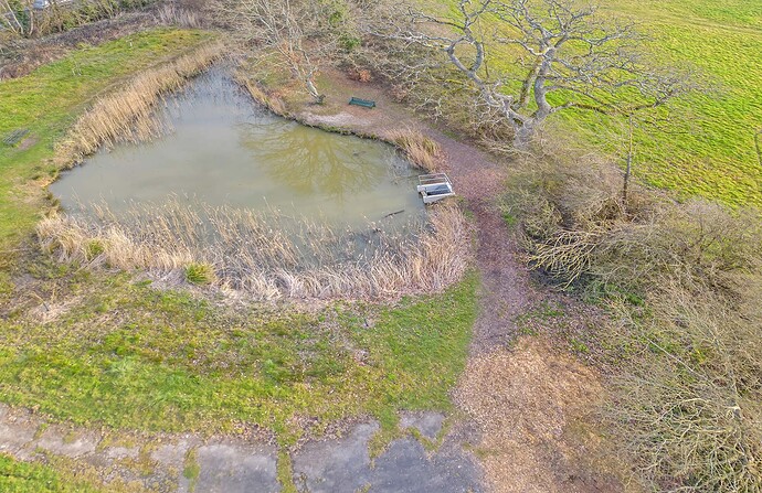 partridge green 6