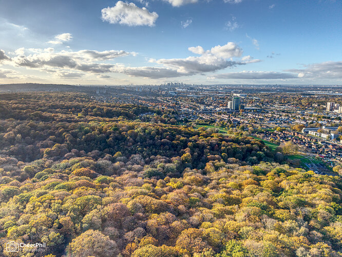 2025-11-08 Autumn Colours and London Skyline v3 WM