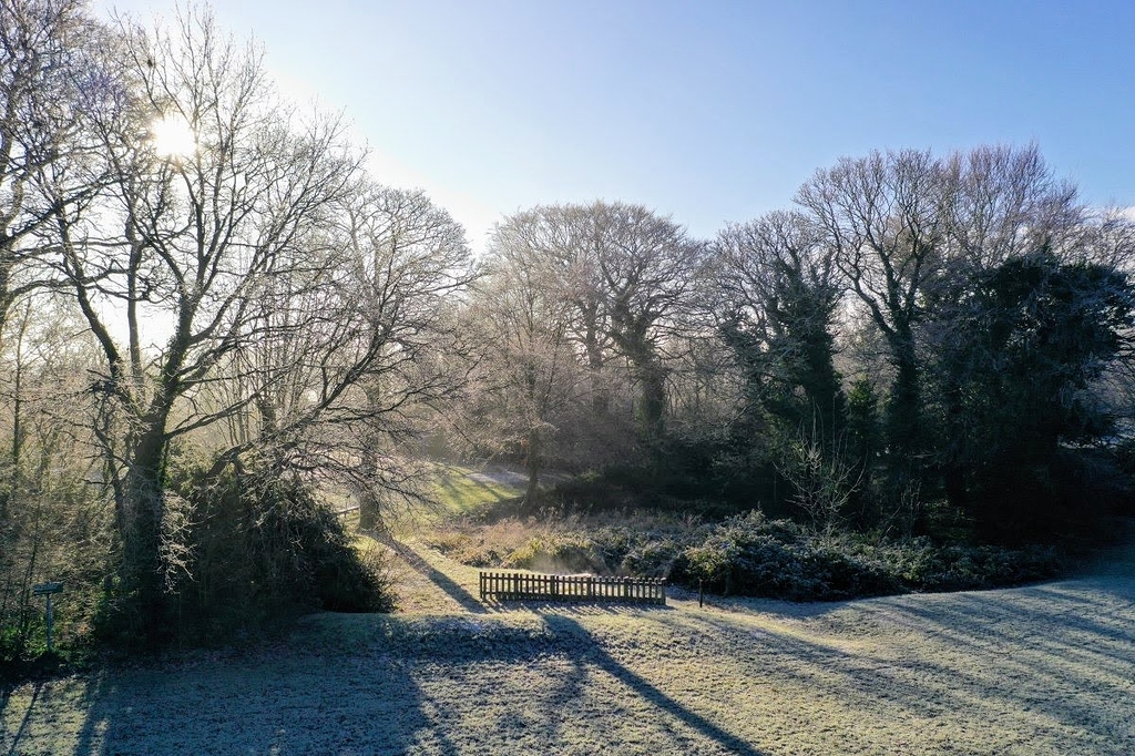 Crisp Autumn morning at my local park Photos by Drone Grey Arrows