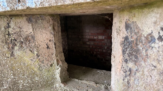 9066ac6e-ad6c-4ac3-8f42-b20dc4adb7e4_img_1732