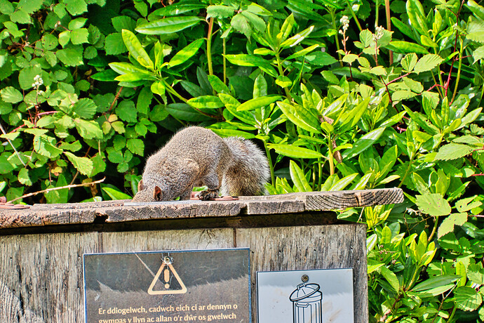 54587536816_16fda1e1c6_o