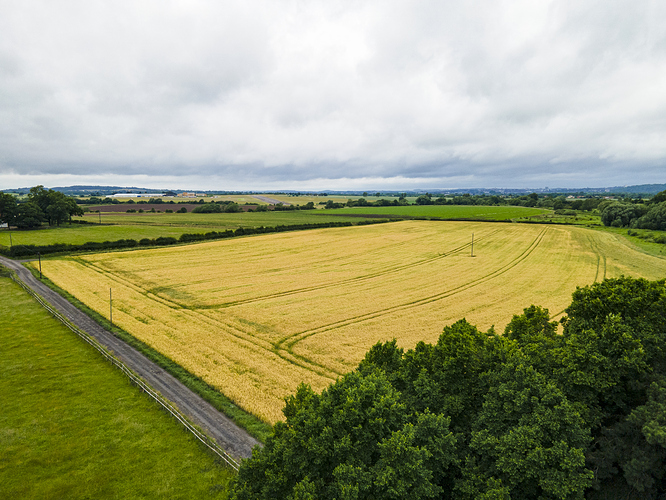 DJI_0010