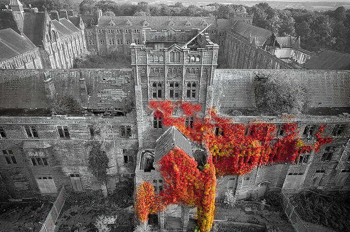 college BW red ivy-1