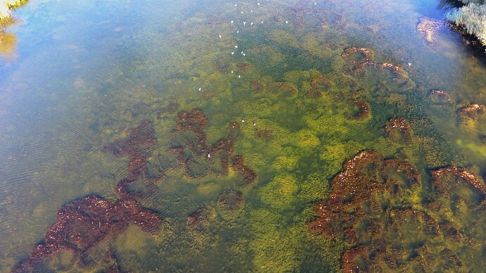 Under Dishley Pool