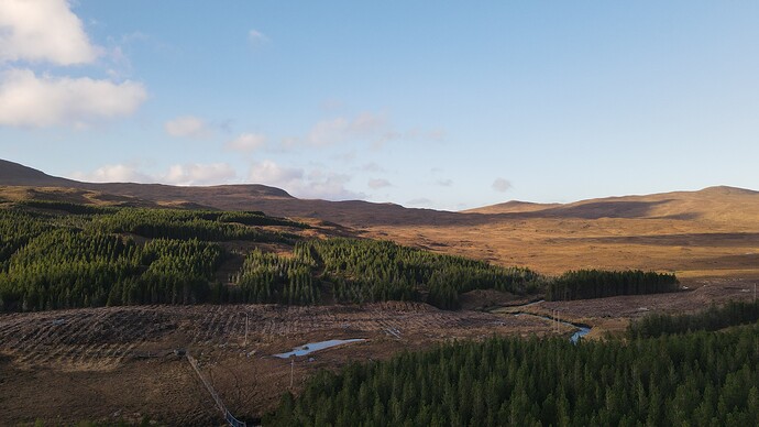 dji_fly_20251109_132426_418_1762694675082_photo