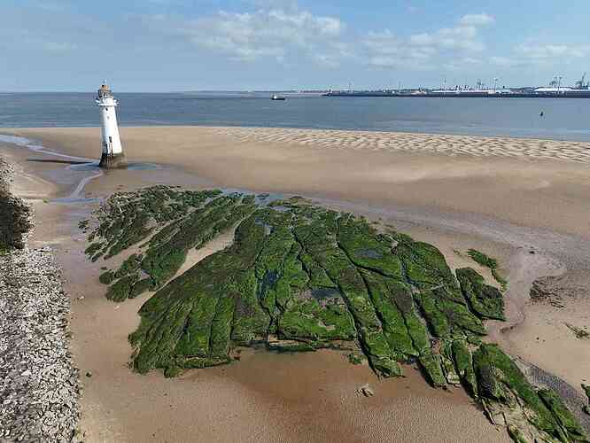 June_25th__2024_09_13am_pic-2