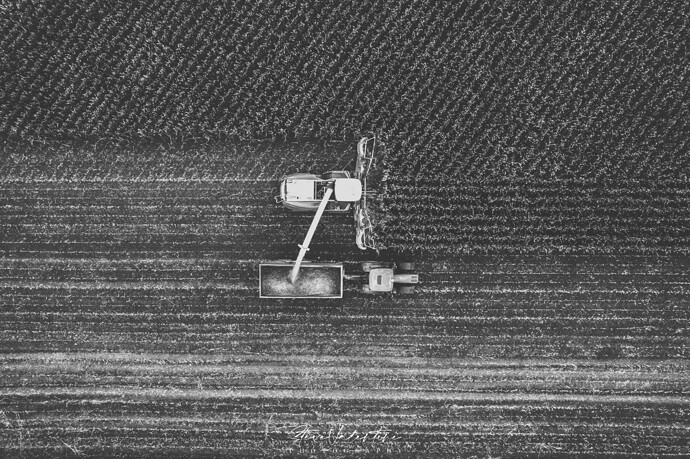 DJI_0045-2