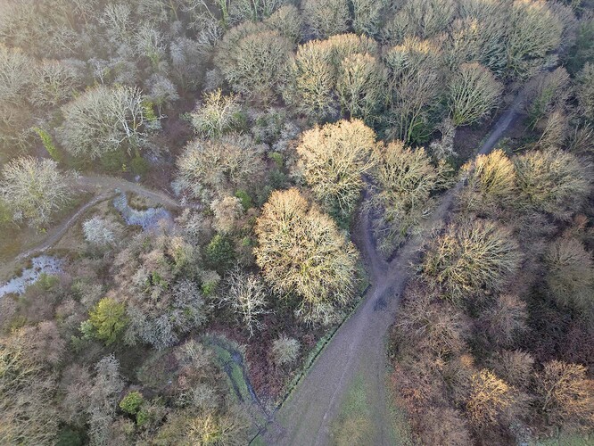 rrusthall common 6