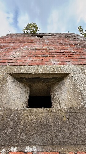 1178c635-b0d3-4cdc-a34e-924c0ba4ebf9_img_1733