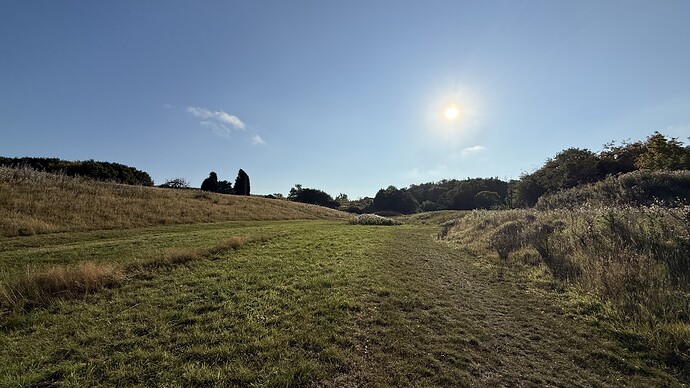 IMG_0879