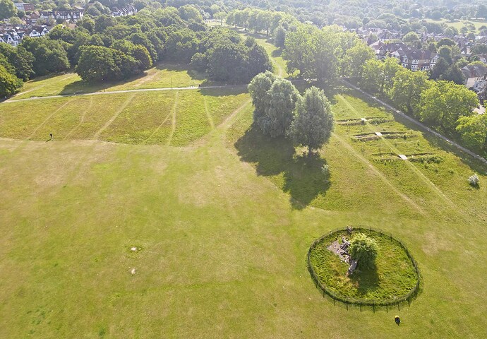 streatham common 5