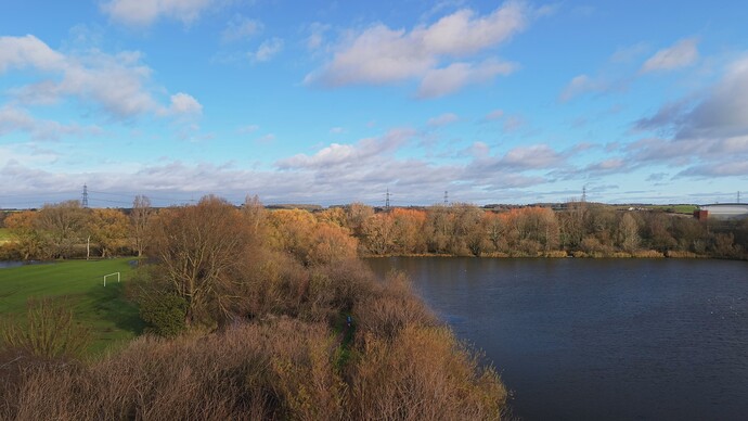 Dishley1