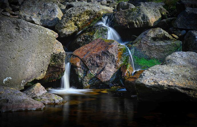 NEW_8223-Edit