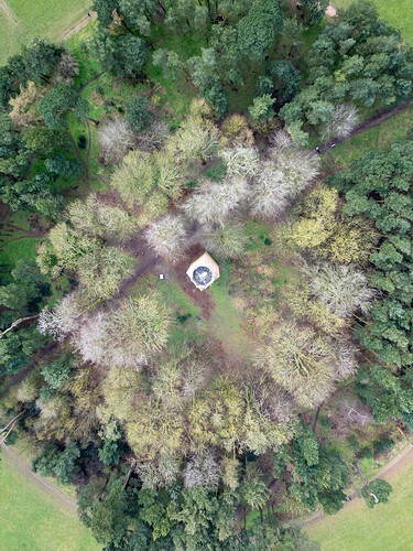 d0e0876a-1f6f-4ec1-b300-a7f05f473d90_dji_0533