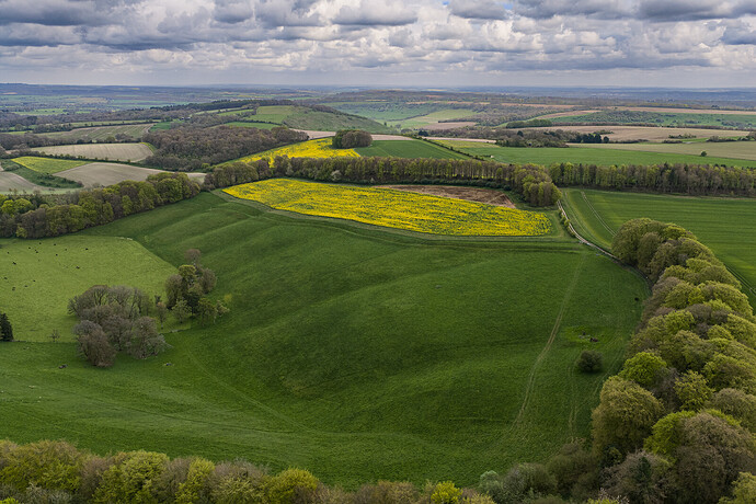 Maccombe Bottom near Tidcombe Long Barrow