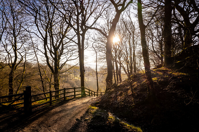 entwistle woods sunrise
