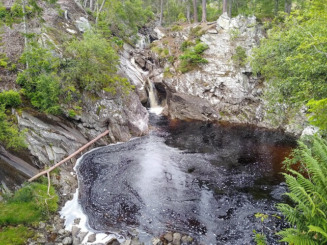 IMG_20220627_172614958