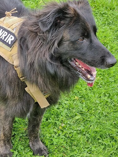 FB_IMG_1748639794800