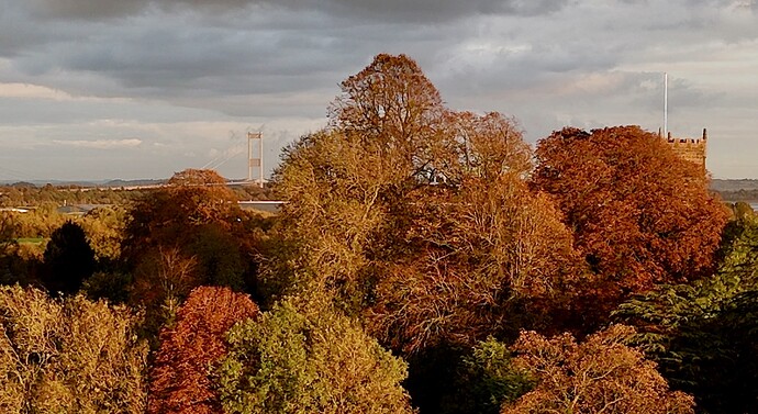 Severn Bridge from Mathern