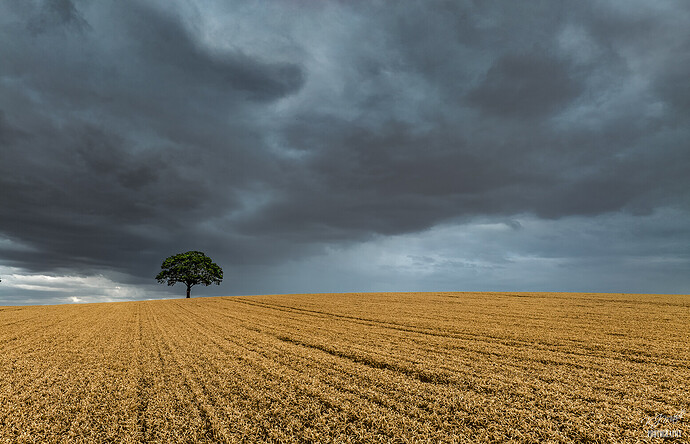 DJI_0522-HDRa