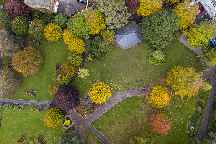 Manor Gardens colour_1