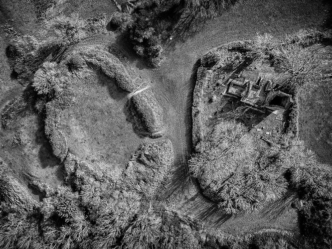 7ff7800b-7b4b-4de2-b3d4-57925f3d49fa_dji_202603