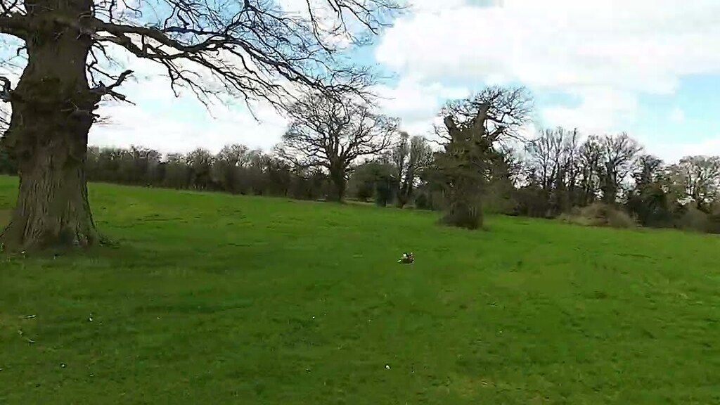 Chasing Drone, wings and kites - Videos by FPV Drone - Grey Arrows ...