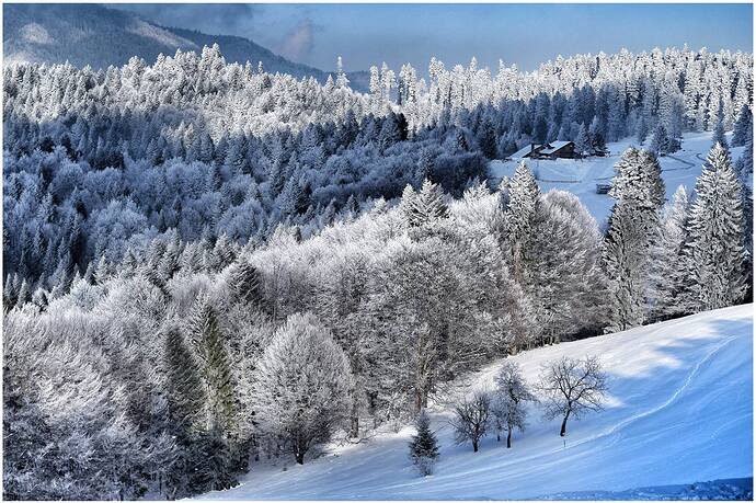 16178481_10154032134861213_32360801817119874_o