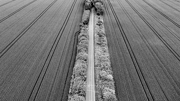 DJI_0234