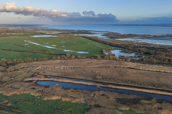 DJI_20251204153645_0132_D LR_1600