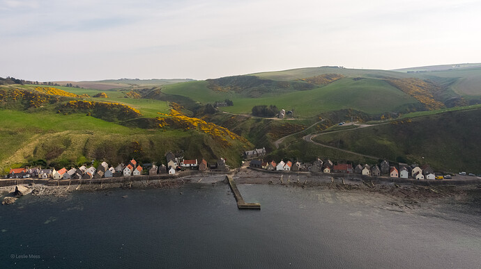 DJI_0974