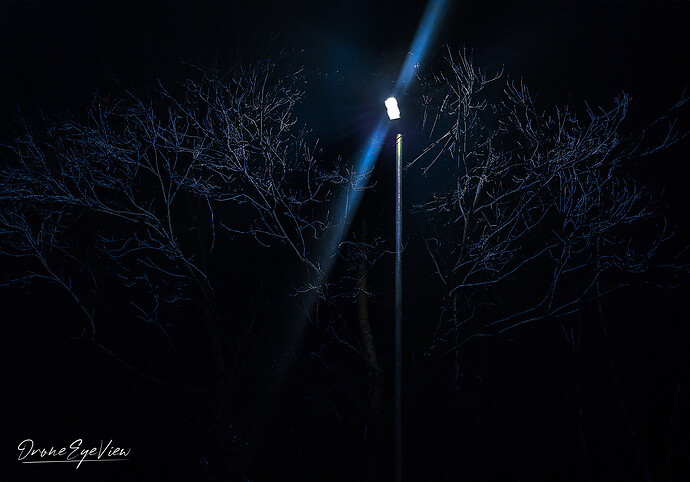 Streetlight-1