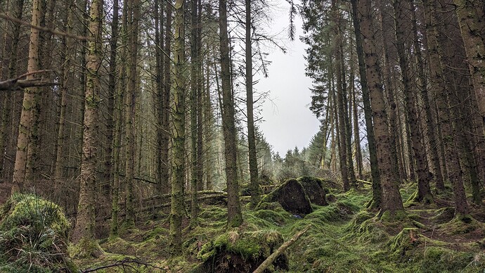 PXL_20240410_111846369