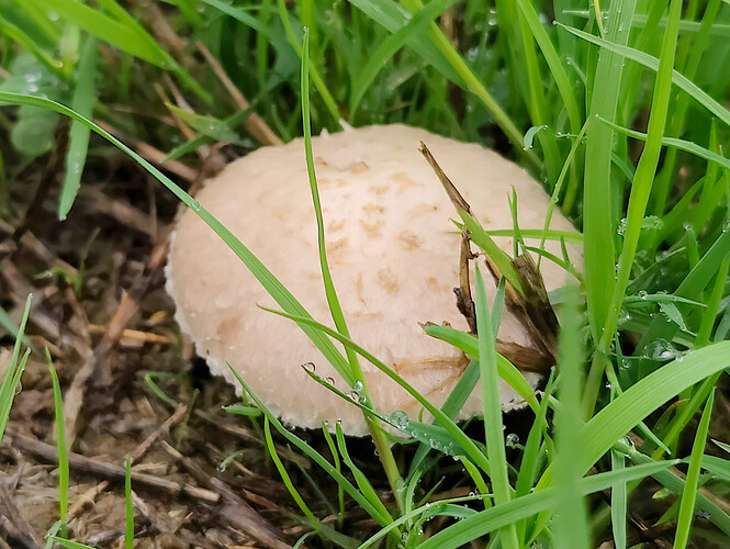 IMG20250914161006