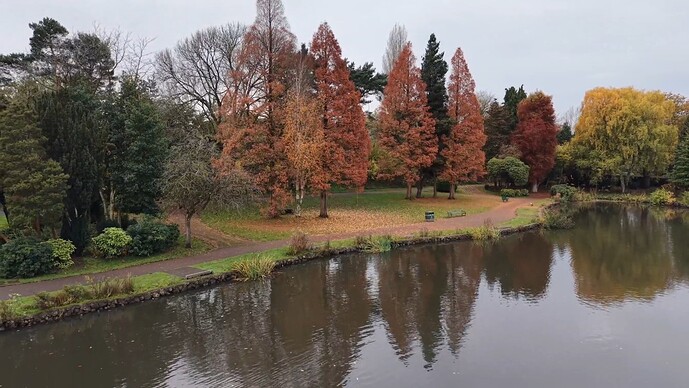 ef8453f7-f6bb-401b-a274-f8e1593e5fb3_compose_vi