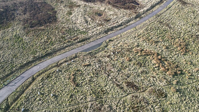 dji_fly_20241113_122308_71_1731511467952_photo