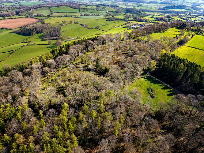 4fbb1494-5de7-4df5-8c3d-cf27afdf7a50_dji_202604