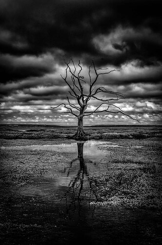 DSC0732-Edit