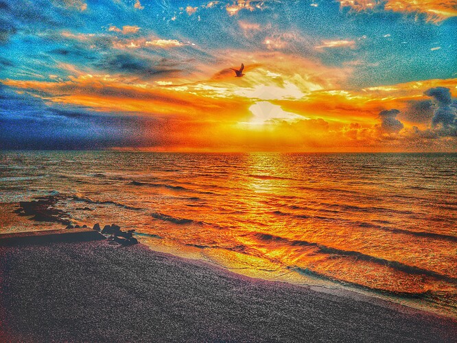 DJI_0039_edited-01_edited