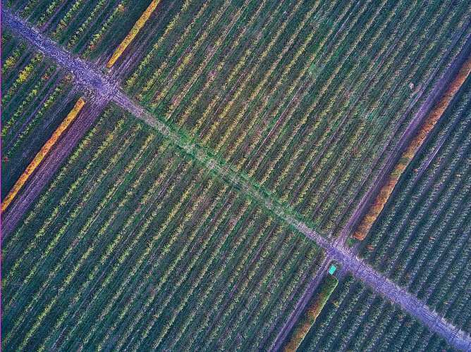 DJI_0071_gunner