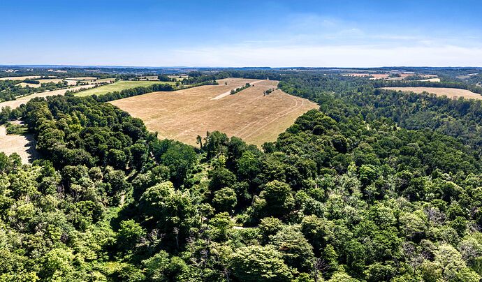 20250714075046_DJI_20250713145252_0016_D_HDR_Pano_Edit