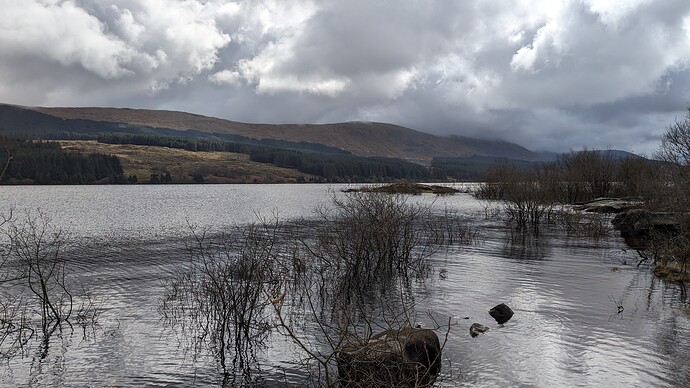 PXL_20240409_113253870